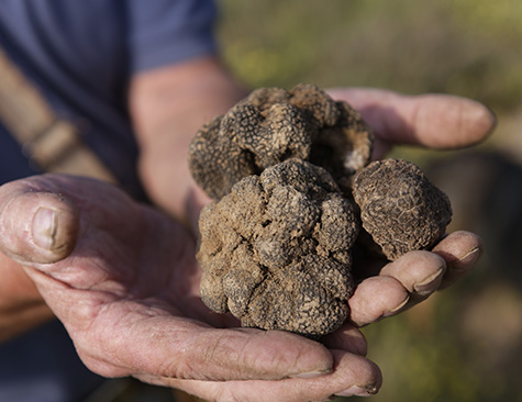 Sel à la truffe 3